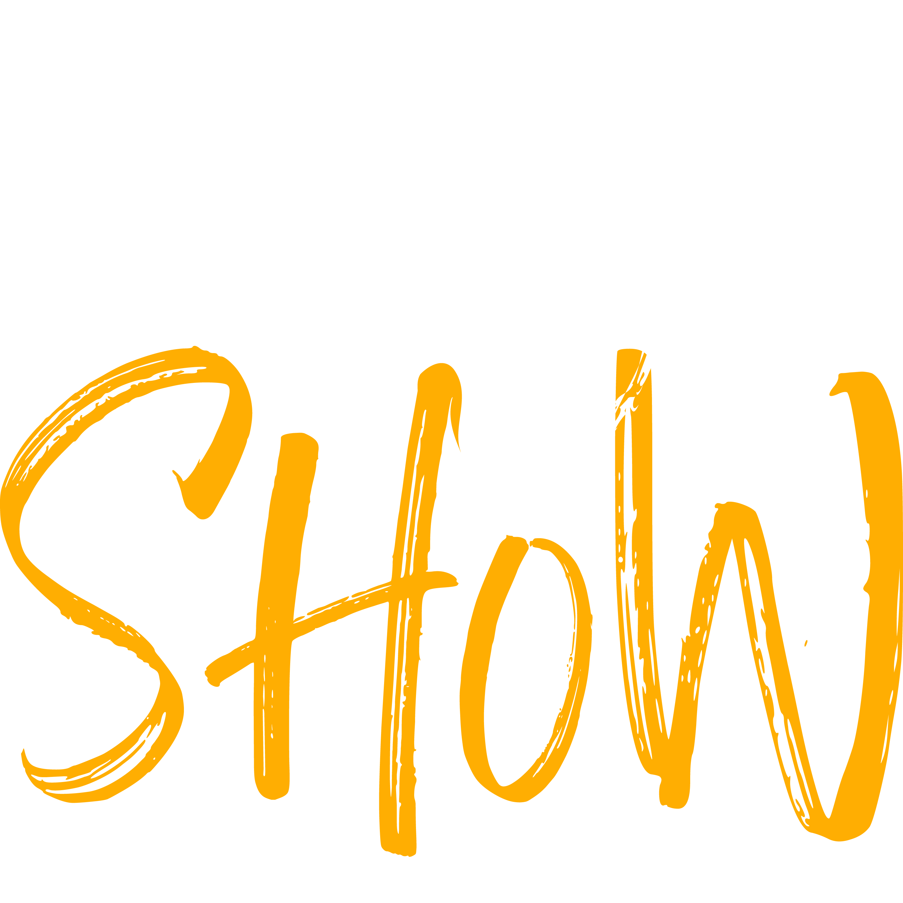 Ai Show